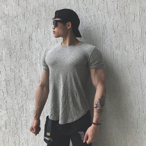 BEESTRONG Stretch Fitness Short sleeve Mens quick-drying T-shirt BODYBUILDING training sports tight fit clothes for men