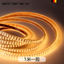 led light belt living room bedroom household ceiling decoration atmosphere 220V high pressure soft super bright patch 1 m cut light Belt