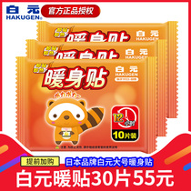 Spot White yuan warm baby big Japanese warm body close to self-heating warm hand feet waist back Palace cold warm 12: 30 pieces