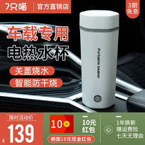 Car special kettle 12v small portable household dual-purpose electric kettle 24v stainless steel kettle heating cup