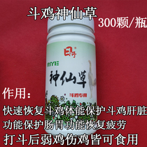 Fighting Chicken Fighting Chicken Conditioning Supplies Fighting Chicken Racing Supplies Fighting Chicken Training Supplies Bucket Chicken Beat Hopper Chicken Playing Field Stock