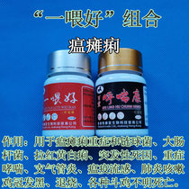 Fighting Chicken Supplies Fighting Chicken Lathin Fighting Chicken Runny Nose Fighting Chicken Training Drug Fighting Chicken Training Guard Fighting Rooster Sandbags