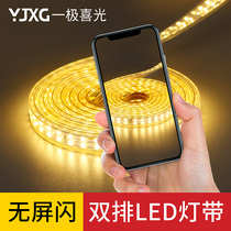 LED light with no screen flash Bright Furniture Background Wall Decorative lamp strips Double-row soft light with 220V-1 extremely festive light