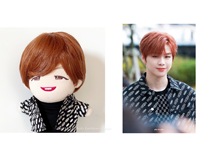 (Clear Cabin) 20cm Waters with the same black printed press buckle jacket