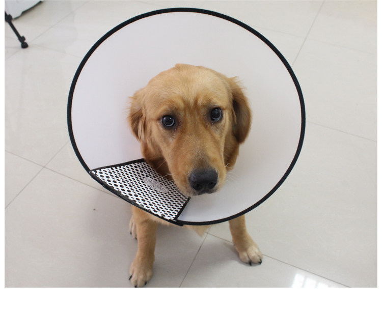 伊丽莎白圈 狗脖套头套头罩 狗脖圈防舔防咬圈猫用 全部尺寸有货