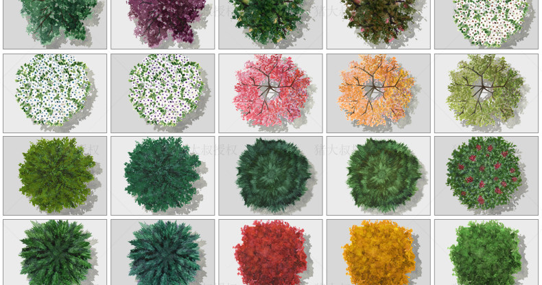 园林景观彩平图psd素材植物手绘辅装ps后期立面平面图设计效果图