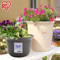 Love Reith IRIS Japan ZEN Brief Flower Pot Resin Plastic Green Plant Flowers Multimeat Tabletop Alice Flower Pot