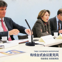 Takstar wins MS200-4 conference microphone gooseneck microphone wired professional desktop broadcast speech