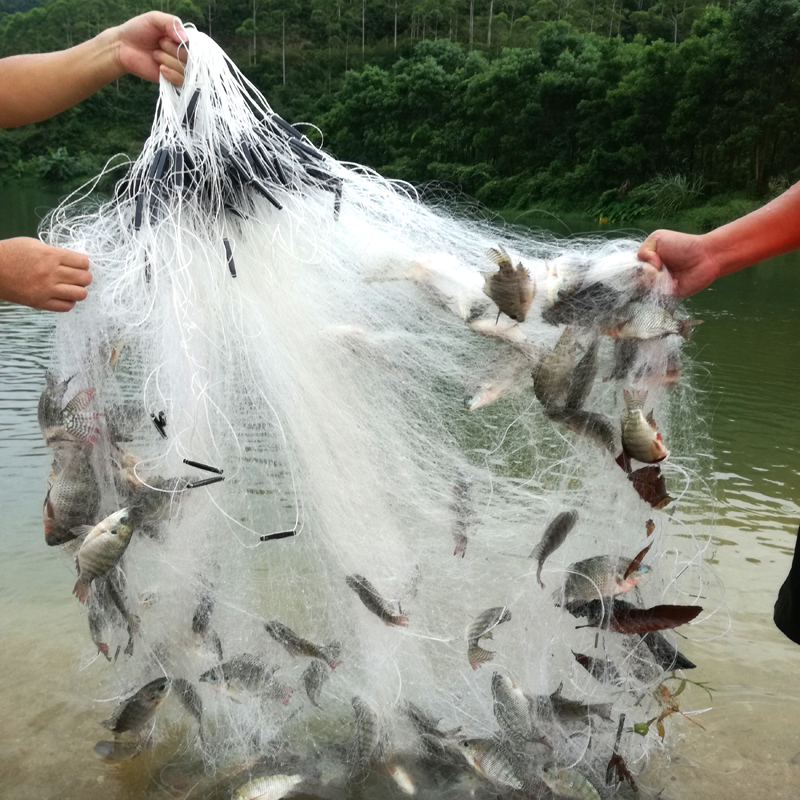 粘网鱼网三层丝网捕鱼鲫鱼网挂网白条网鱼丝50100米_双氙车灯改装网