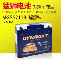 Lion 12V21 An adhesive free of maintenance dry battery electric storage bottle sports car Straddle Ride MGS52113