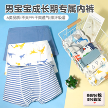 children's underwear boys cotton boxer shorts no butt pp boys big boys underwear