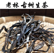 Yunnan Dawei Mountain Old Forest Ancient Tree Raw Tea Bulk 250g Yunwei Ancient Tea Dawei Camellia