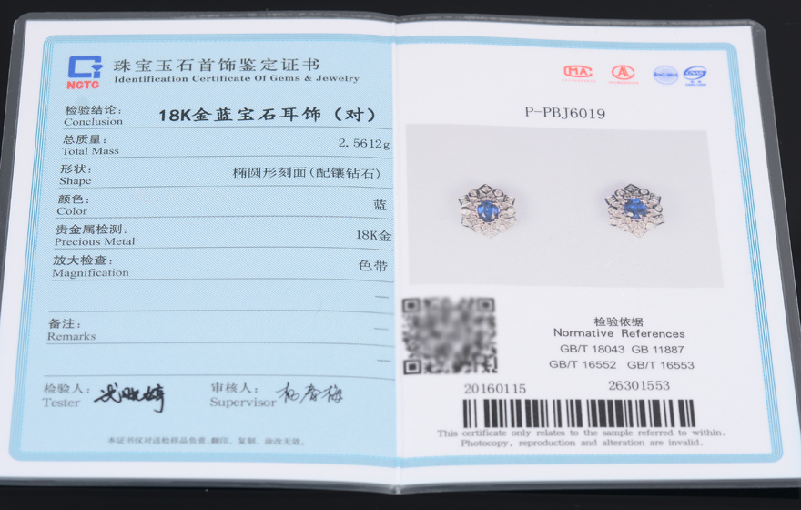 ngtc.com.cn 证书编号 p-pbj6019