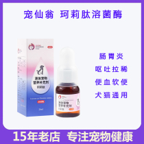 Pet Xian Weng Keli Peptide Cats and dogs fainting soft stools diarrhea diarrhea lysozyme vomiting conditioning the stomach 25ml