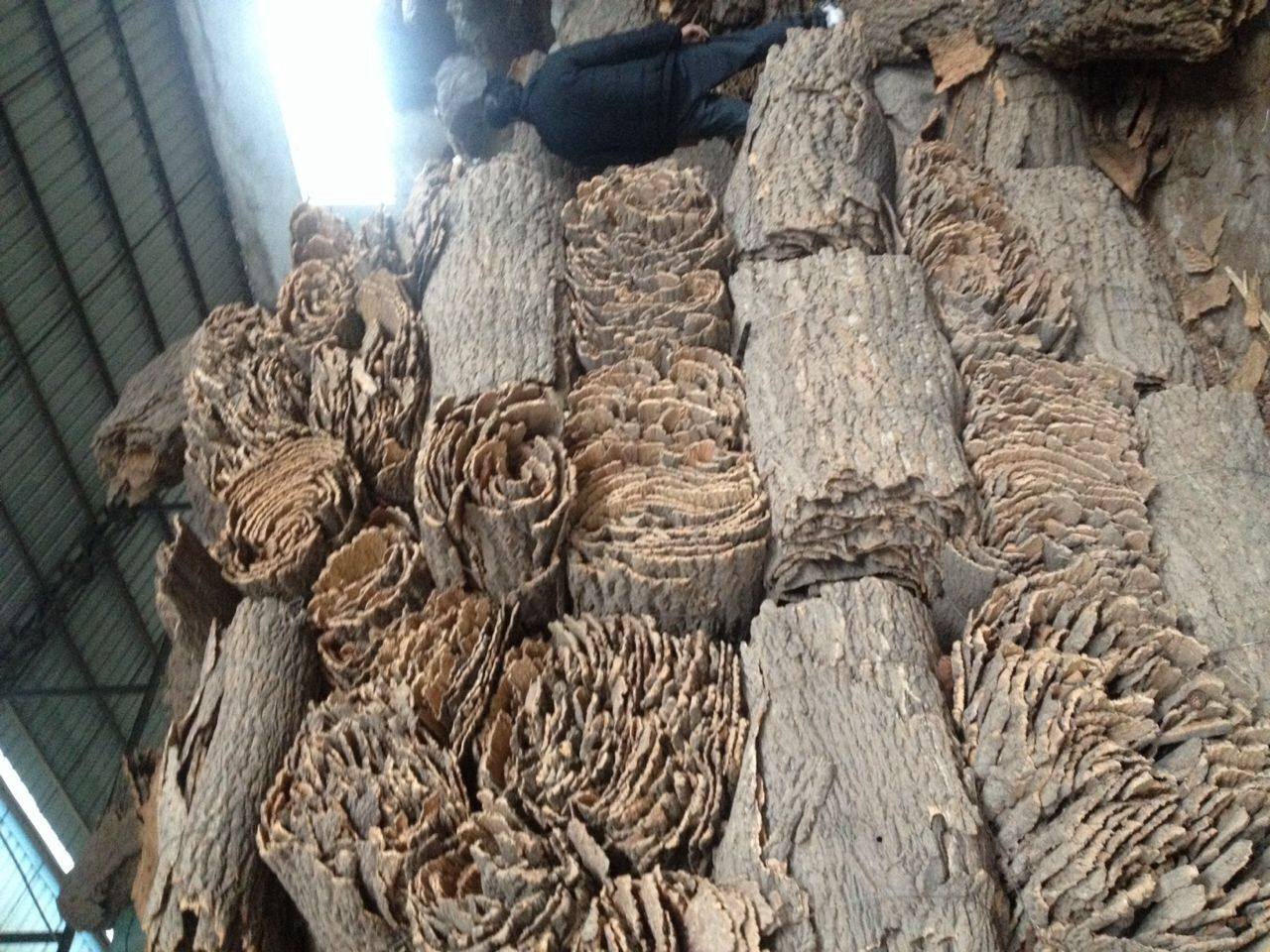 仿真香樟树皮珍珠棉树皮 仿真植物 植物墙装饰 田园摆放花艺用品