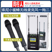SONY SONY bee collar clip wireless microphone microphone one drag two set P03D 2 handheld wheat