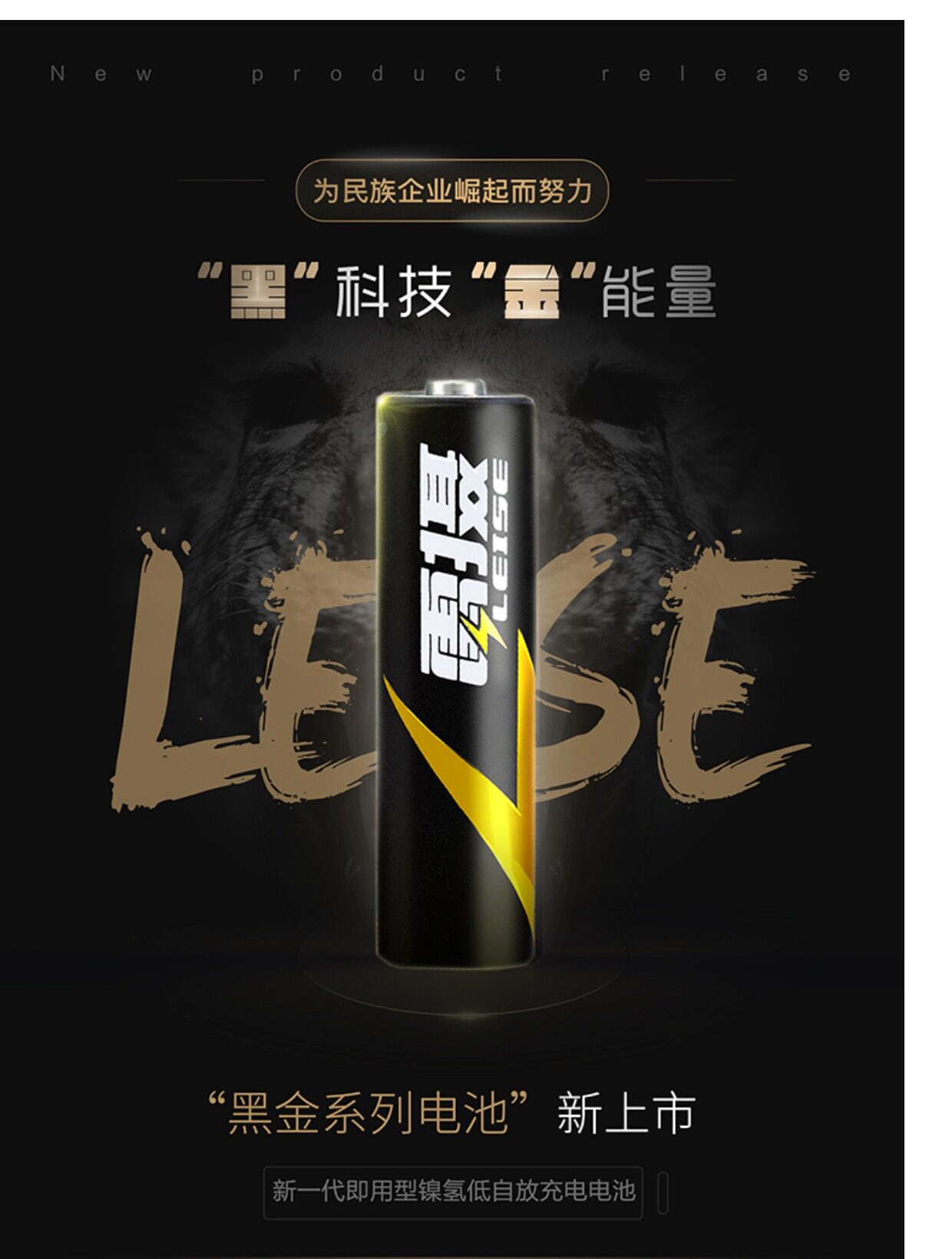 雷摄5号充电电池4节低自放电大容量2500毫安玩具话筒可充电电池_爱淘