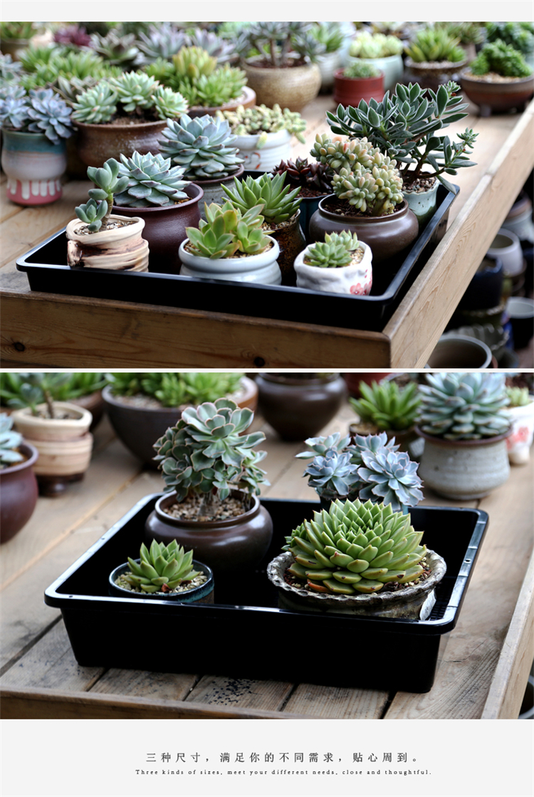 种子芽苗菜育苗盘托盘加厚塑料花盆装多肉筐搬运种植育苗盆大号