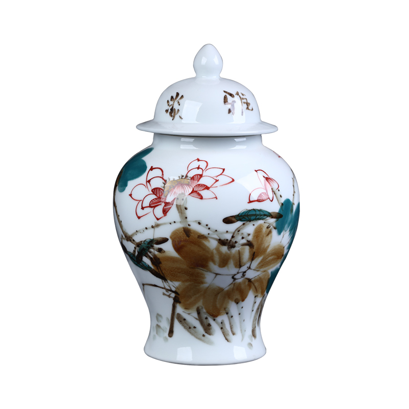 Jingdezhen ceramics hand - made enamel tank storage tank general furnishing articles archaize sitting room porch home decoration