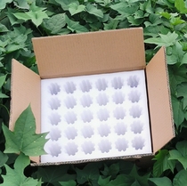 Cisheart Pearl Cotton Earth Egg Packaging Box 60 Earthquake-proof And Anti-Pressure Five-Layer Thickened Carton Express Gift Box