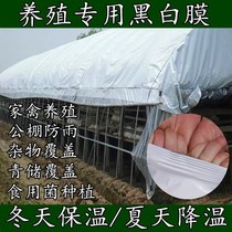 Imported black and white film culture greenhouse film sunshade sunscreen insulation film reflective cooling film culture film fungus planting film