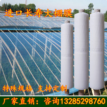 6 meters 7 meters 8 meters 9 meters 10 meters 12 meters wide plastic film packaging film thickened greenhouse film dustproof film waterproof film