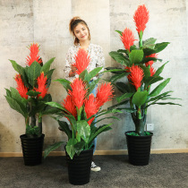 Fake flower simulation flower Hongyun head fake tree landing potted bonsai plant plastic flower interior decoration living room decoration