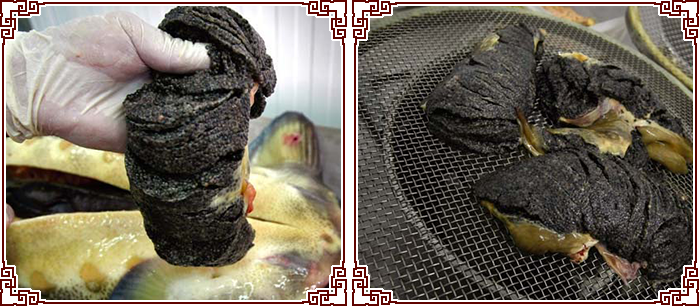 [全鱼宴]黑龙江野生活鱼江鱼鲟鳇鱼七粒浮子大鲟鱼肉4斤装包邮