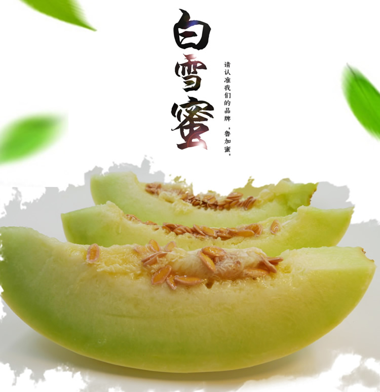 【品果园】林师傅白雪蜜瓜2只哈密瓜网纹瓜口口蜜瓜新鲜水果包邮