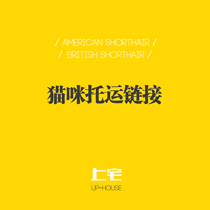 ▲ CFA on the HOUSE ▲ UP-HOUSE ▲ cat consignment ▲ freight link ▲ air consignment etc.