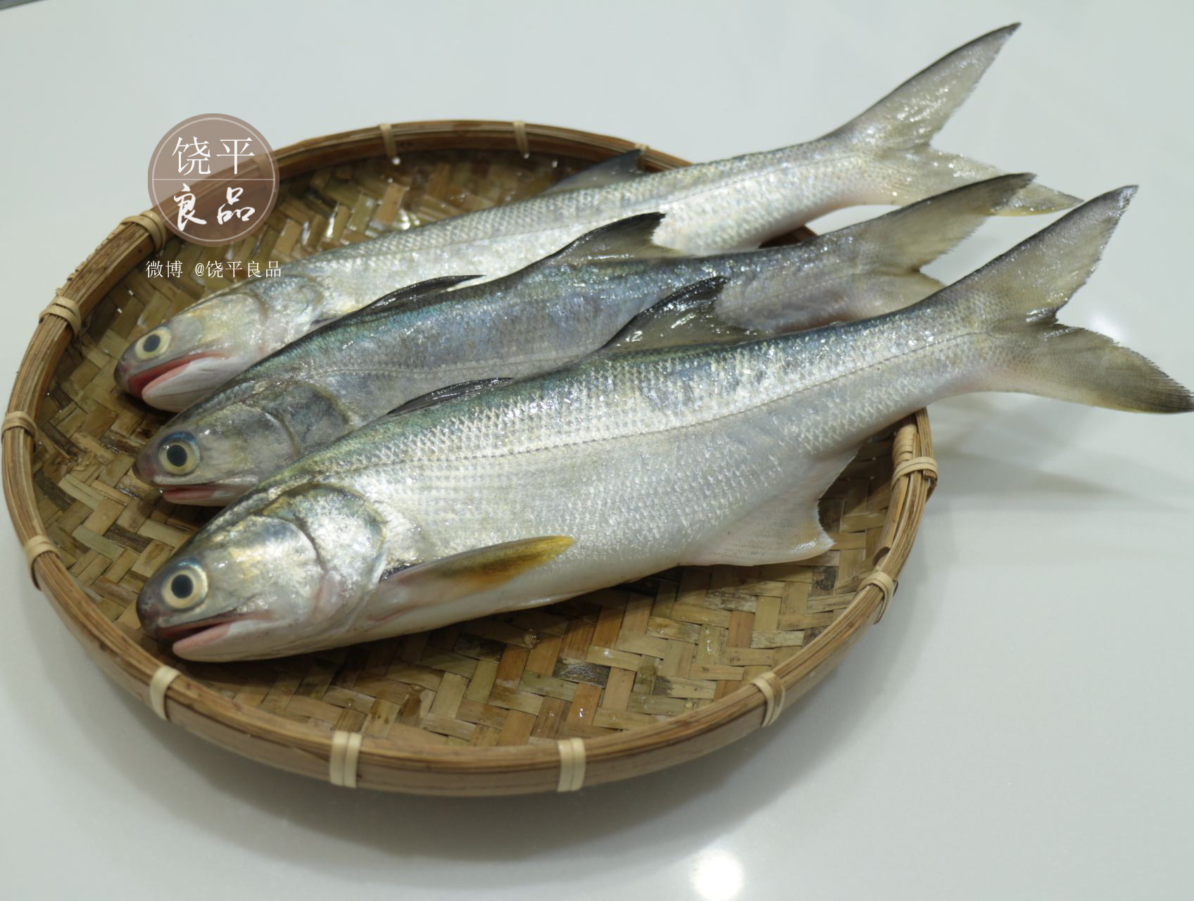 新鲜野生海鱼野生马友鱼午笋鱼午顺鱼海鲜特产鱼当天海捕速冻500g_7折