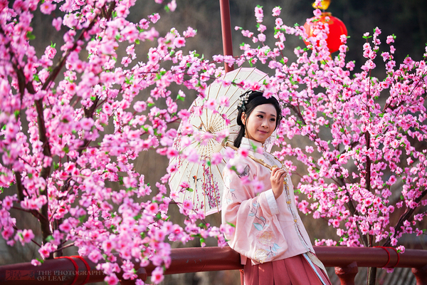 桃花美人邀请图片