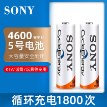 Sony battery 5 rechargeable battery No. 7 KTV Microphone Microphone Bubble Machine Toy Car Keyboard Mouse 5