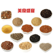 Parrot feed bird food thrush embroidered eye small sun tiger skin Parrot Bird food feed shelled millet Millet