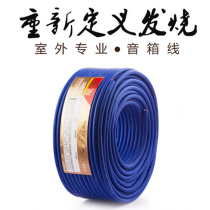 Professional speaker wire Horn fever sheath wire Subwoofer audio scatter wire JSJ FD-H210