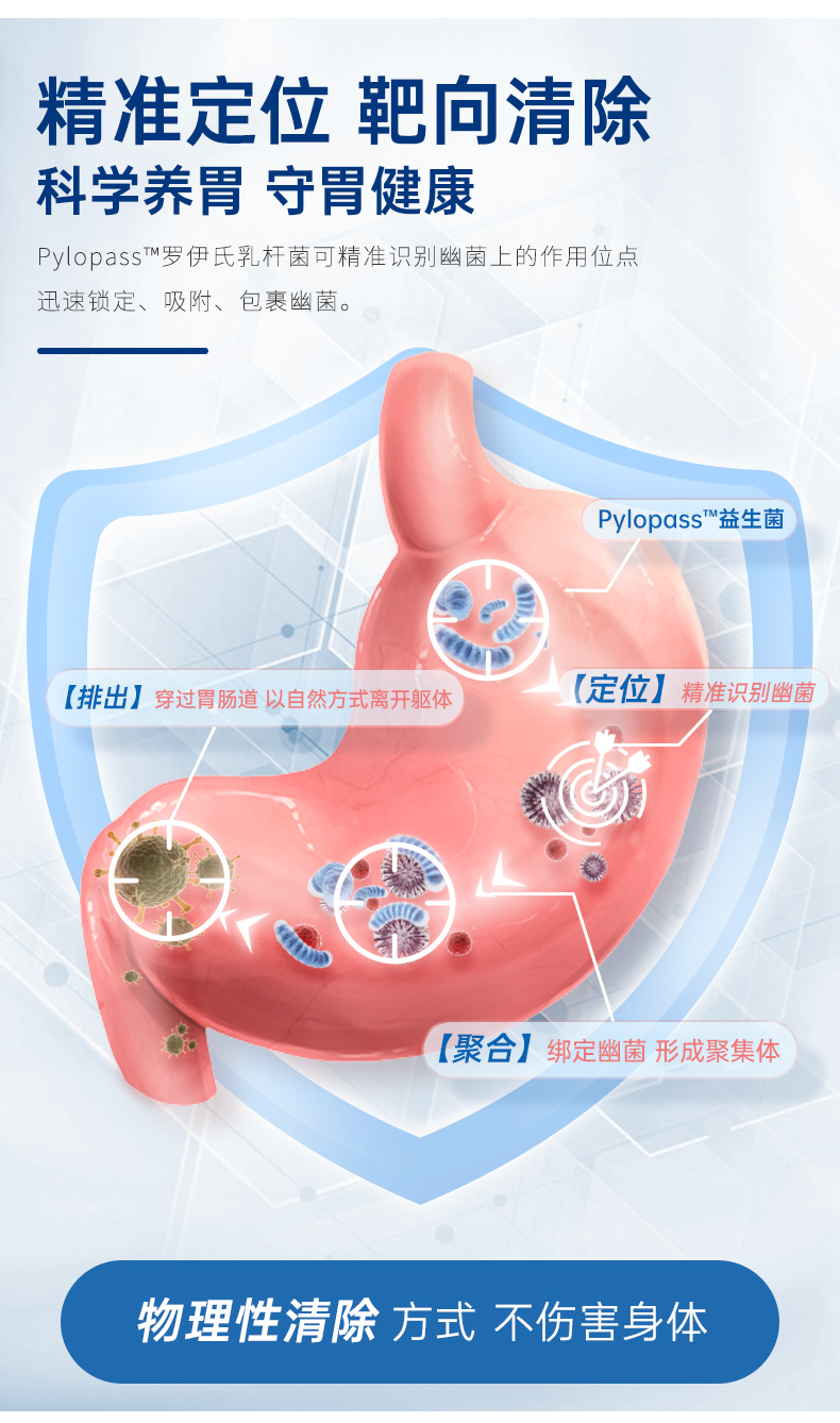 拍2件！iSDG日本pylopass益生菌胶囊20粒*2