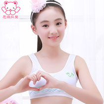 Siqi Rafi girl bra underwear Cotton vest type rimless development period Junior high school and high school students broadband vest