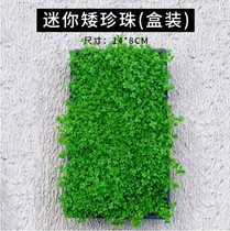Fish tank foreground water grass mini dwarf climbing ground pearl beef felt living real water grass aquarium decoration landscape lawn
