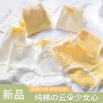 Girls' underwear pure cotton triangle middle aged and older children's developmental period girls' elementary school 7-18 years old + 10