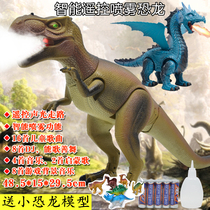 Electric remote control dinosaur toy simulation animal children large boy will walk spray T-rex model set