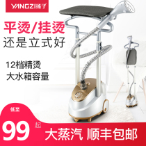 Yangtze hanging ironing machine Household small steam iron Hand-held ironing machine Hanging vertical ironing machine Ironing clothes ironing