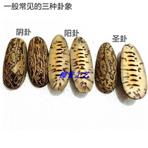 Holy Grail Holy Gua Gua Yin and Yang Cup Yao Gua Thousand eyes Bodhi Fruit Bu Gua Special offer