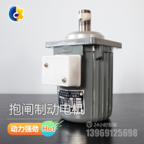 Nanyang Xiangshan YDT80 small motor tower off accessories electric hydraulic pusher hydraulic brake small motor
