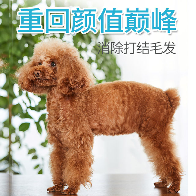 Knot comb long hair comb artifact dog comb special cat Bichon pet supplies Teddy comb fluffy knot