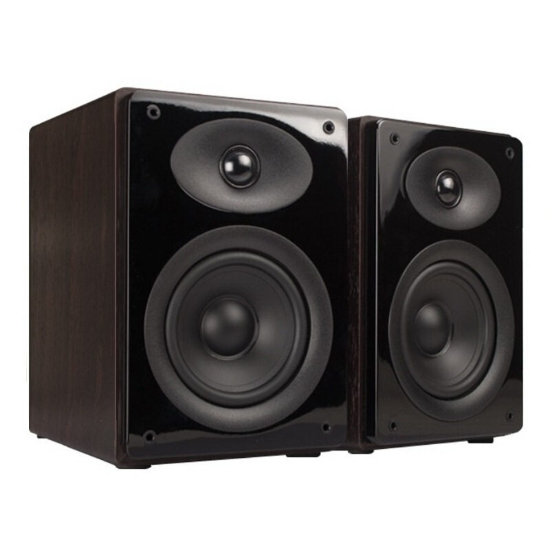 惠威 d1010mkii音箱