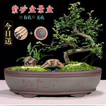 Yixing oval extra large purple sand courtyard household banyan tree bonsai basin non-porous rockery absorbent stone with tray