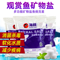 Aquarium fish tank for ornamental fish Sea salt for fish farming Sea salt Coarse salt Tropical fish sterilization Mineral salt