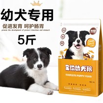 Cubs full moon small milk dog dog food 1 to 6 months away from the milk stage Teddy puppy pastoral dog Special General type