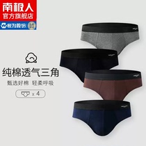 Antarctic men mens underwear mens cotton Triangle Waist breathable large size cotton U convex sexy scrotum shorts HT