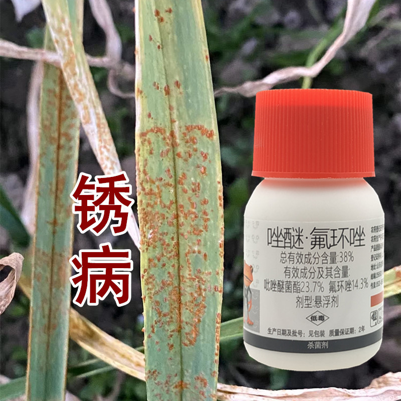 大蒜红锈病洋葱铁锈病专用药黄疸红斑点锈病叶枯病杀菌剂增产套餐